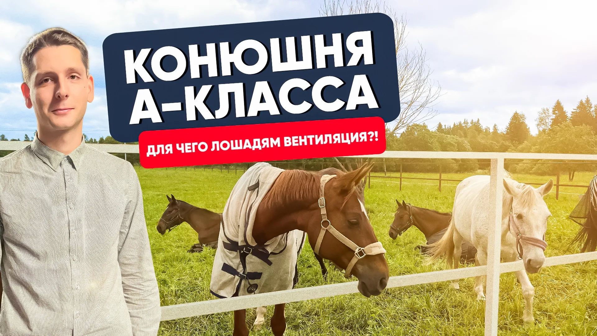 Конюшня А-КЛАССА. Для чего лошадям вентиляция?!