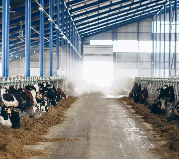 Закрытые пространства для животных